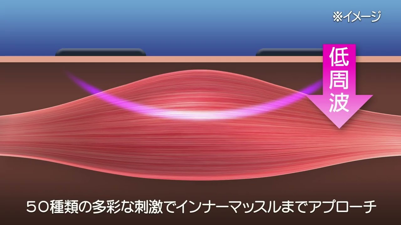 ヨガクリエイターaya監修 | icoelleイコエルスピードシェイプ - テレビ
