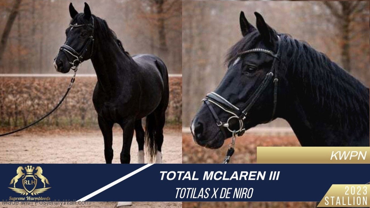 TOTAL MCLAREN III - Totilas X De Niro