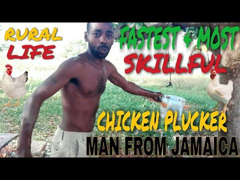 I AM THE FASTEST & MOST SKILLFUL CHICKEN PLUCKER FROM JAMAICA | HOW I PLUCK CHICKEN IN RURAL JAMAICA
