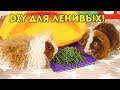 DIY: МОСТИК ДОМИК АРКА для морской свинки СВОИМИ РУКАМИ! Самый ЛЕНИВЫЙ СПОСОБ от SvinkiShow