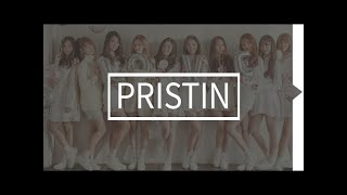 Pristin Members Profile Kpop 2018 [Update]