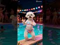 Dog Animation 😊