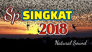 SP. SINGKAT 2018