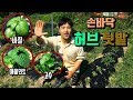 제 손바닥만한 허브 텃밭을 소개합니다 : [낙향일기]  리도의 허브 텃밭