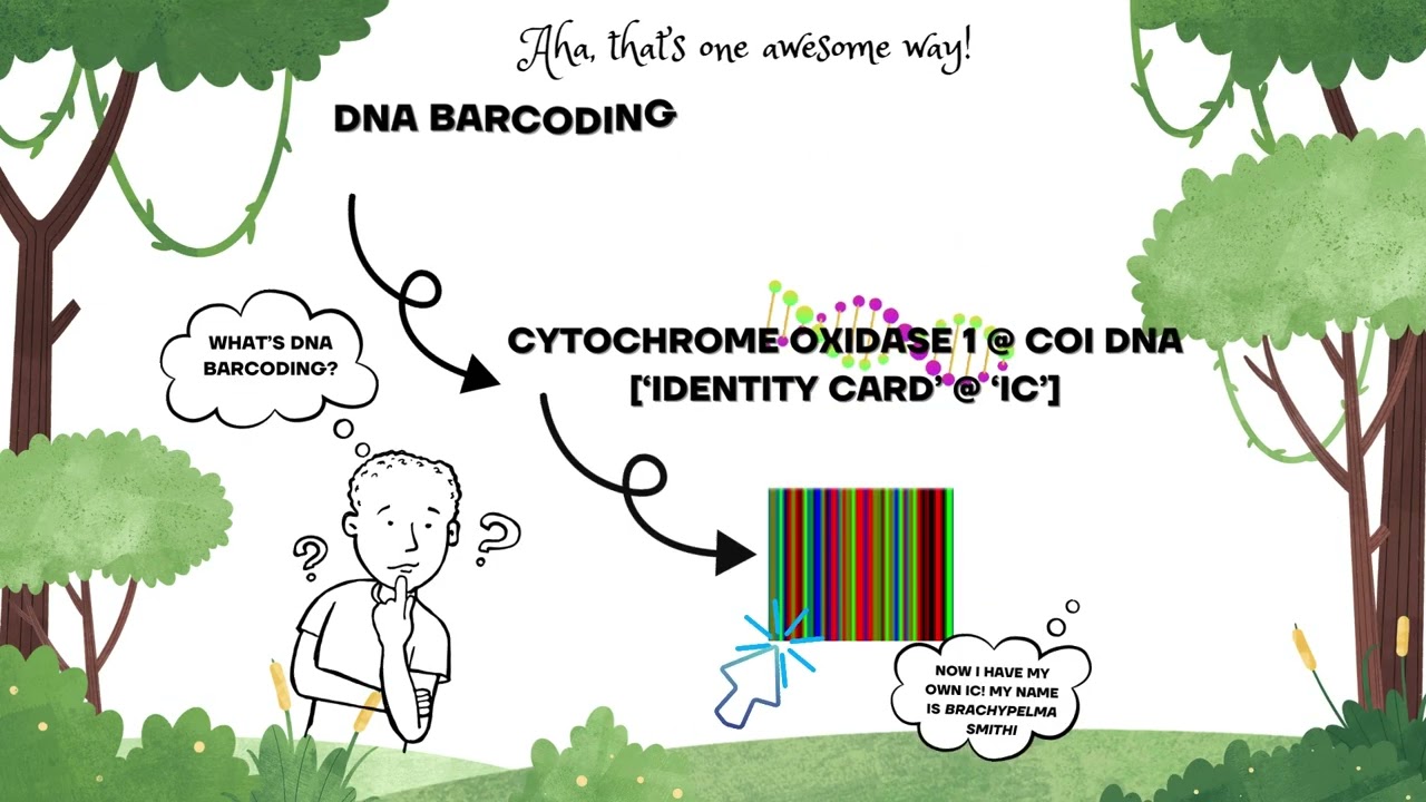 s5H project: Hybrid DNA QR Code