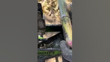 sugar cane cutting tools #video #shorts