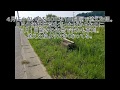 雑草刈り機を使って雑草刈1カ月でこんなに