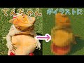 てんちゃん達をイラストにしてみた
