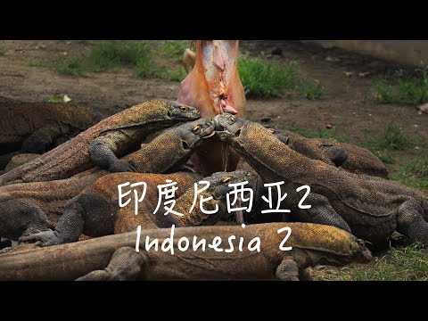 Indonesia印尼必到之处2：科莫多岛及周边