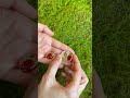 Peças de resina com pimenta e Arruda de verdade.