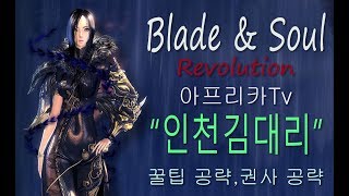 블소m 랭커 권사 무과금 노하우대방출 도원결의1섭 블레이드앤소울레볼루션블소레볼루션기공사검사역사