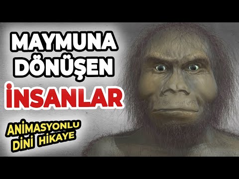 MAYMUNA DÖNÜŞEN KAVMİN İBRETLİK HİKAYESİ | ANİMASYONLU DİNİ HİKAYE