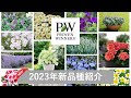 PW2023新品種のご紹介