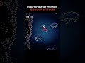 Returing from Silksong's Path of Pain #silksong #hollowknight