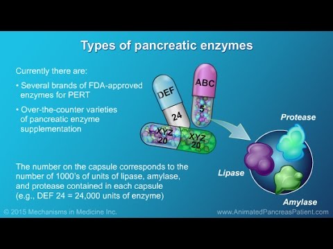 ვიდეო: ფერმენტების ჩანაცვლებითი თერაპია EPI- სთვის