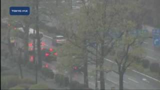 都心に41年ぶりの「遅い雪」