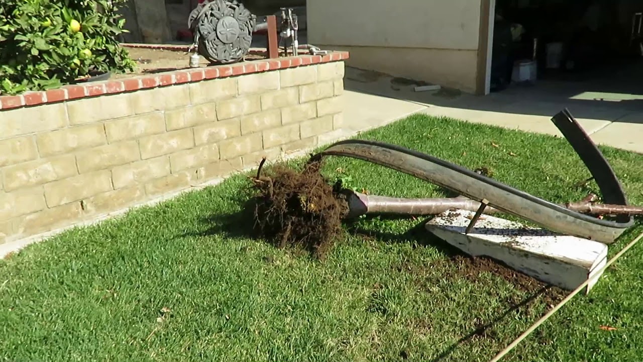 Pulling small trees and shrubs with a truck - YouTube