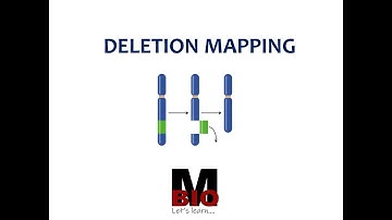 DELETION MAPPING