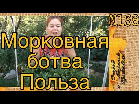 МОРКОВЬ На Зиму. МОРКОВНАЯ БОТВА Польза [29.07.17]