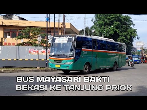 Mayasari Bakti: Lebih dari Sekadar Bus Pariwisata, Sebuah Legenda di Jalan Raya