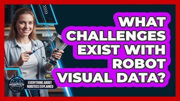 What Challenges Exist With Robot Visual Data?