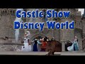 Disney Show at Castle at Magic Kingdom   January 27, 2020