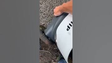 Guy Saves White Food Delivery Robot On Sidewalk