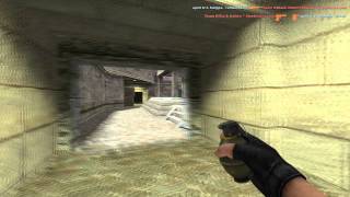ESWC 11: aNGeldusT vs Team DSRack