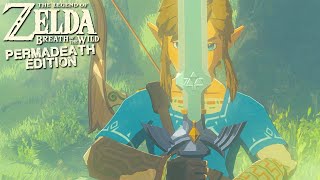 THE MASTER SWORD: Breath of the Wild Permadeath Edition screenshot 5