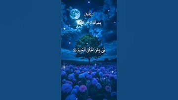 سورة ياسين بصوت الشيخ محمد الفقيه
