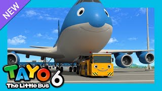 Tayo S6 EP9 My friend Cargo l Tayo's New plane buddy l Tayo English Episodes l Tayo the Little Bus