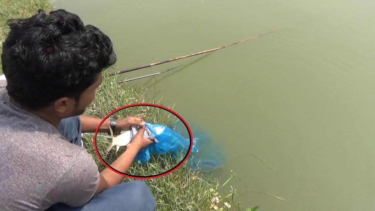South Asian Fishing Compilation video | cast net fishing , fly fishing , hook fishing