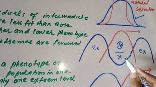 Stabilising Selection, Disruptive Selection & Directional Selection ..