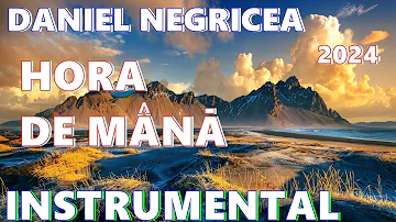 █▬█ █ ▀█▀  2024 - HORA DE MANA  CA LA NUNTA - Daniel Negricea    [Domn' Profesor Danciu]