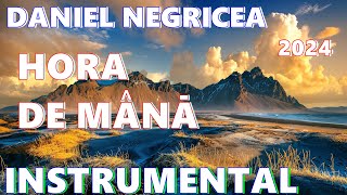 █▬█ █ ▀█▀  2024 - HORA DE MANA  CA LA NUNTA - Daniel Negricea    [Domn&#39; Profesor Danciu]