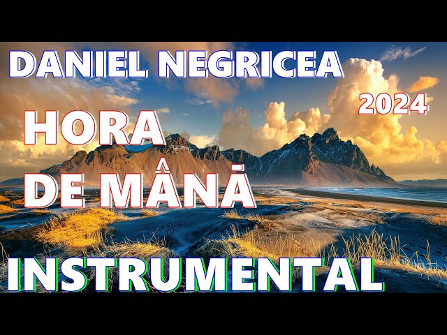 █▬█ █ ▀█▀  2024 - HORA DE MANA  CA LA NUNTA - Daniel Negricea    [Domn' Profesor Danciu] class=