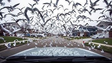 70 Strange Things Happening Right Now Around the World [Caught on Camera Edition]