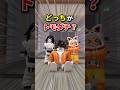 【感動】どっちがほんとうのトモダチ...！？