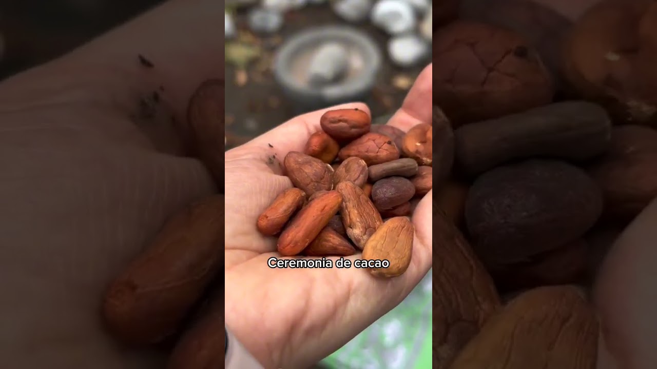 👁️⛰️🌹🤎🔥🏕️¡Bienvenidxs al Salviaje Interno!