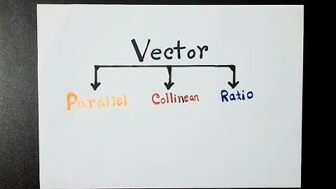 How to show parallel,collinear and ratio in vector?