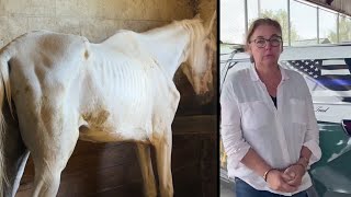 Ocala horse rescue operators arrested on animal cruelty charges