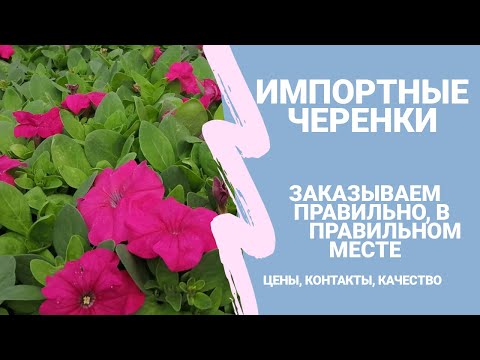 Бейне: Данзигер нені білдіреді?