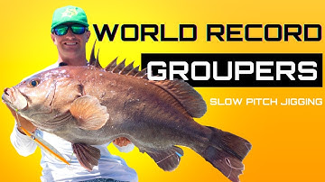 WORLD RECORD GROUPERS - SLOW PITCH JIGGING - JYG PROFISHING