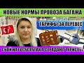 Новые нормы провоза багажа, тарифы. Полный крах системы госуслуг. Отдых в Турции 2020 Турция сегодня