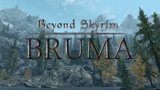 Video voorbeeld van "Beyond Skyrim: Bruma Soundtrack - Melvin of Skingrad"