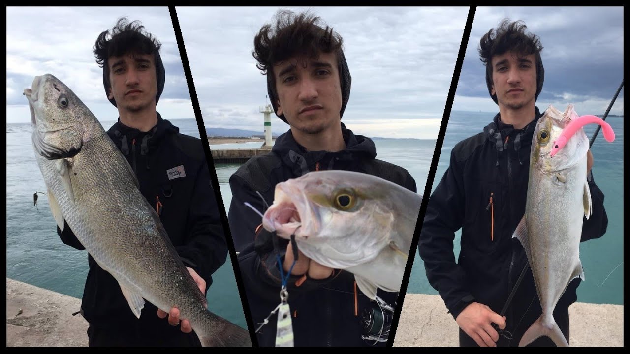 ATÇEK KUZU VE KARAKULAK AVI !! / DEV KARAKULAK / MİNEKOP AVI ! / Amberjack On Soft Bait !