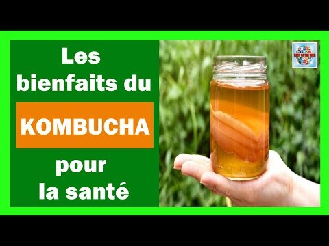 Vidéo: Kombucha: Avantages Et Inconvénients Pour Le Corps, Avis Des Médecins