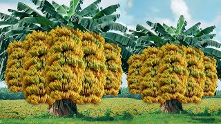 famous videos from the best technique of growing bananas with various fruits