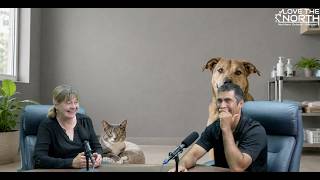 Pet Care You Can Afford: Spay, Neuter & When Your Pet Needs Help