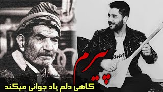 پیرم و گاهی دلم یاد جوانی میکند - گل نظر نظری شعر استاد شهریار | Gulnazar Nazari (Official Audio)